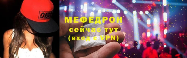 spice Богородицк